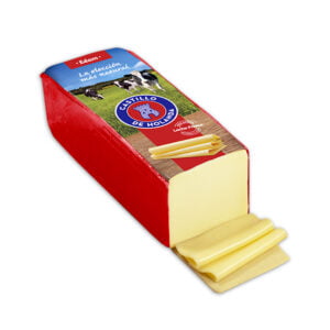 Queso en barra Edam Castillo