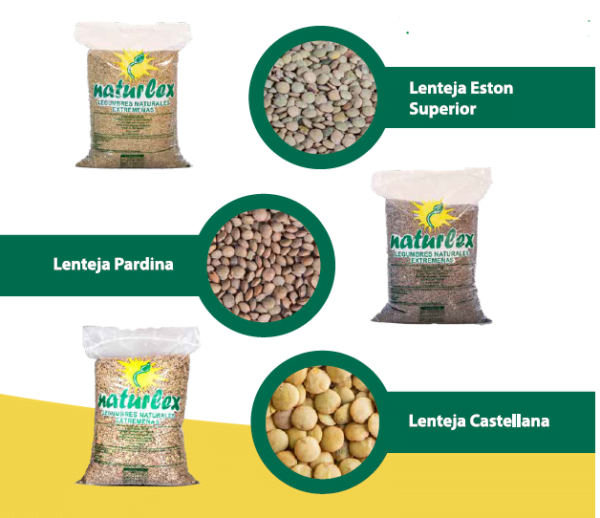 Lentejas